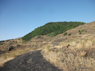 Monte Arcimis